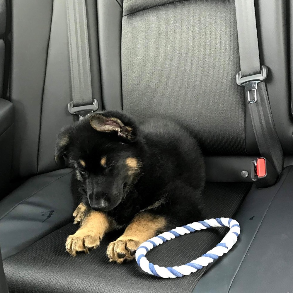 Meet your Posher, Kellie